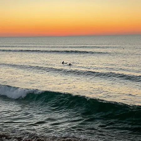 1bd Close To Lejlighed