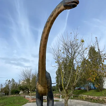 Lejlighed 1bd Close To