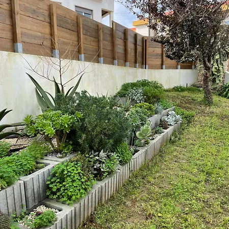 Lejlighed 1bd Close To Lourinhã