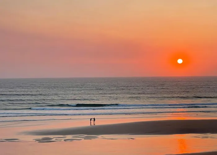 Appartamento 1bd Close To